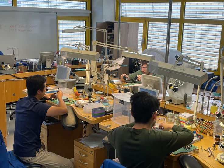 Import Business Workshop UP