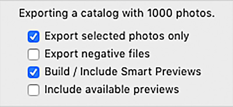 Build export catalog
