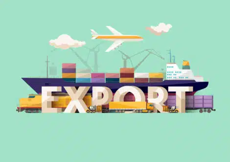 Export market research guide